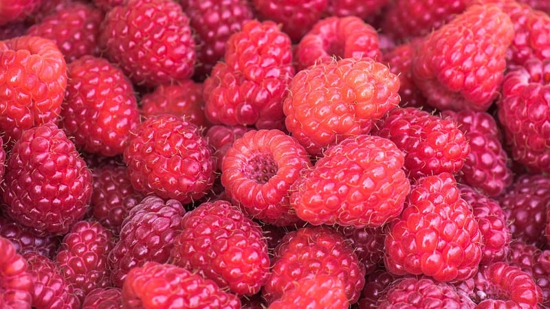 Berries